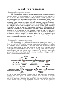 The tryptophan biosynthetic pathway