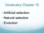 Vocabulary Chp 15 - OCPS TeacherPress