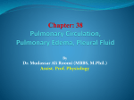 pulmonary circulation