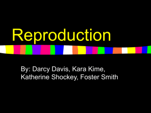 Reproduction