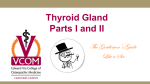 Thyroid Stimulating Hormone