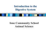 Digestive System - Ione School District