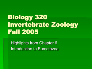 Biology 320 Invertebrate Zoology Fall 2005