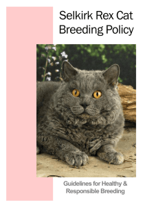 Breeding Policy - Selkirk Rex Cat Club