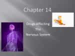 Ch. 14-Drugs Affecting the Nervous System