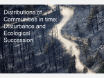 Distributions of Communities in time