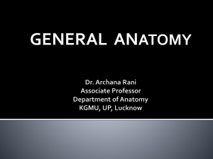 Introduction of Anatomy