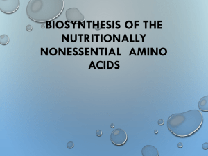 Biosynthesis of the nutritionally nonessential amino acids