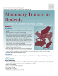 Mammary Tumors in Rodents