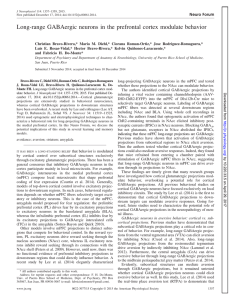 Long-range GABAergic neurons in the prefrontal cortex modulate