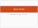 Biology CP 14.4 Gene Pools