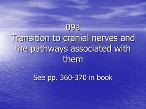 SPHS 4050, Neurological Bases, PP 09a