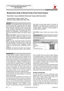 Pranoti Sinha et al. Glenoid Cavity of Dry Human Scapula