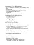 Asexual and Sexual Reproduction