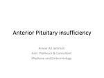 01 Anterior pituitary Block