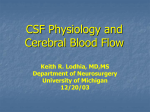 CSF Physiology and Cerebral Blood flow