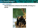 27.4 Social Behavior