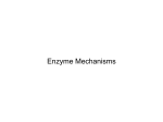 Enzyme Mechanisms