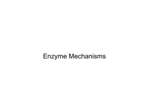 Enzyme Mechanisms