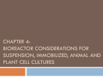 Chapter 4 Bioreactor Considerations for Suspension, Animal and