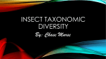 Insect Taxonomic Diversity