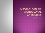 applications of monoclonal antibodies