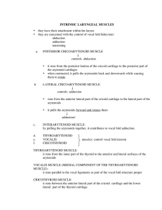 Intrinsic laryngeal muscles