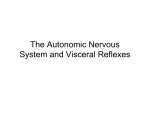 The Autonomic Nervous System and Visceral Reflexes
