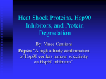 Testing the Effect of Changing Heat Shock Protein 90: