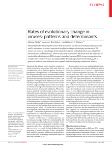 Rates of evolutionary change in viruses