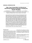 Fiber Type Composition and Maximum Shortening