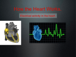 day 7 how the heart works