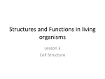 Structures and Functions in living organisms