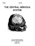 unit #8: central nervous system