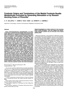 Forebrain Origins and Terminations of the Medial Forebrain Bundle