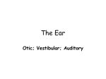 Inner Ear - WTPS.org