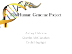 the human genome project