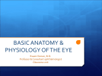 L02-anatomy and physiology of the eye (Prof. essam ).