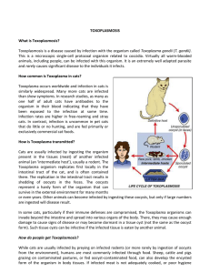 What is Toxoplasmosis?