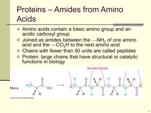 Chapter 26:Biomolecules: Amino Acids, Peptides, and Proteins