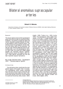 Bilateral anomalous suprascapular arteries