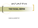 22. facial nerve-2014-12