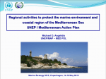 "Regional activities to protect the marine
