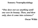 Sensory Neurophys