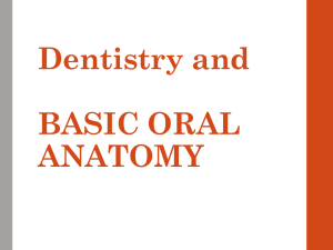 BASIC ORAL ANATOMY - Northwest ISD Moodle