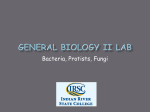 General Biology I Lab - IRSC Biology Department