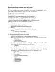 Lab: Plant tissue systems and cell types