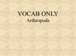 Arthropod vocab only