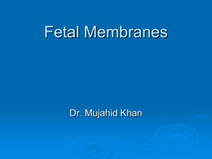 Fetal Membranes