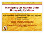 Investigating Cell Migration Under Microgravity Conditions